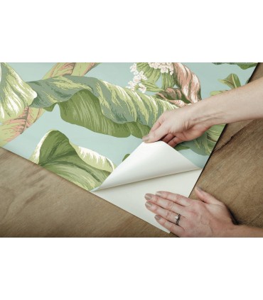 PSW1036RL - York Premium Peel and Stick Wallpaper-Banana Leaf
