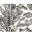PSW1037RL - York Premium Peel and Stick Wallpaper-Banana Leaf