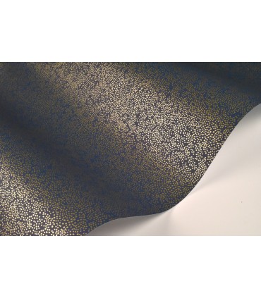 RI5113 - Rifle Paper Co. Wallpaper-Champagne Dots