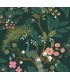 RI5168 - Rifle Paper Co. Wallpaper-Peacock