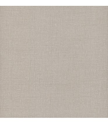 5981 - Handpainted Traditionals Wallpaper-Gesso Weave