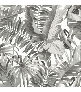 2969-24134 - Pacifica Wallpaper by A Street-Alfresco Tropical Palm