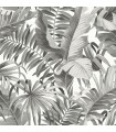 2969-24134 - Pacifica Wallpaper by A Street-Alfresco Tropical Palm
