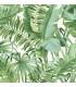 2969-24136 - Pacifica Wallpaper by A Street-Alfresco Tropical Palm