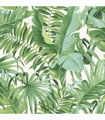 2969-24136 - Pacifica Wallpaper by A Street-Alfresco Tropical Palm