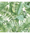 2969-24136 - Pacifica Wallpaper by A Street-Alfresco Tropical Palm