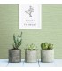 2969-24284 - Pacifica Wallpaper by A Street-Agave Imitation Grasscloth