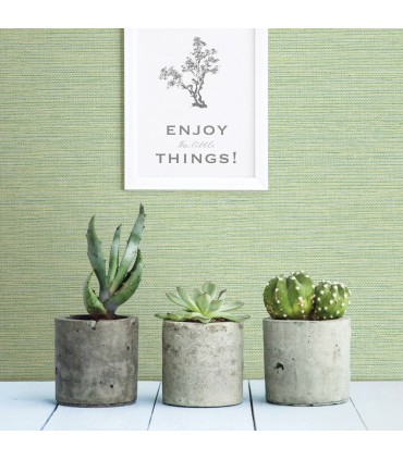 2969-24284 - Pacifica Wallpaper by A Street-Agave Imitation Grasscloth