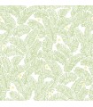 2969-26033 - Pacifica Wallpaper by A Street-Athina Fern