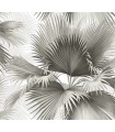2927-40100 - Newport  Wallpaper by A Street-Summer Tropical Palm