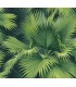 2927-40104 - Newport  Wallpaper by A Street-Summer Tropical Palm