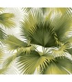 2927-40114 - Newport  Wallpaper by A Street-Summer Tropical Palm