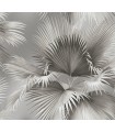 2927-81908 - Newport  Wallpaper by A Street-Summer Tropical Palm