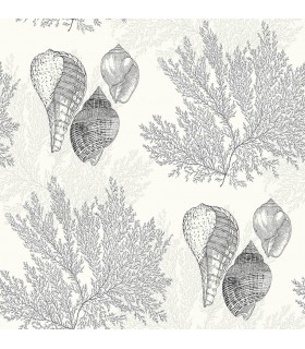 2927-81200 - Newport  Wallpaper by A Street-Nauset Seashell Shores