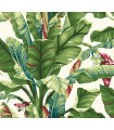 AT7068 -Banana Leaf Wallpaper-Tropics Resource Library