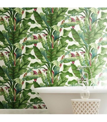 AT7068 -Banana Leaf Wallpaper-Tropics Resource Library