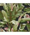 AT7071 -Banana Leaf Wallpaper-Tropics Resource Library