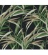 TC2606 -Tropical Paradise Wallpaper-Tropics Resource Library