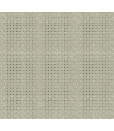 TC2613 -Paradise Island Weave Wallpaper-Tropics Resource Library