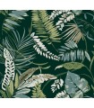 TC2621 -Tropical Toss Wallpaper-Tropics Resource Library