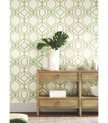 TC2631 -Sawgrass Trellis Wallpaper-Tropics Resource Library