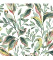 TC2653 -Tropical Love Birds Wallpaper-Tropics Resource Library