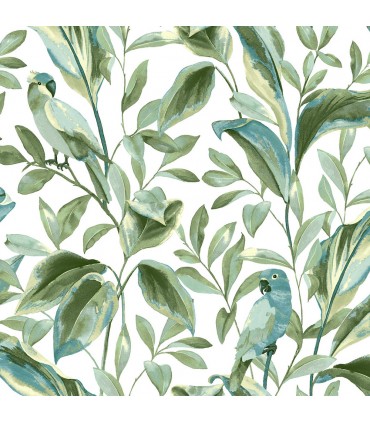 TC2654 -Tropical Love Birds Wallpaper-Tropics Resource Library