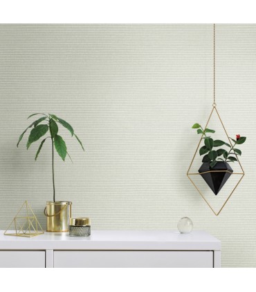 TC2661 -Boucle Wallpaper-Tropics Resource Library