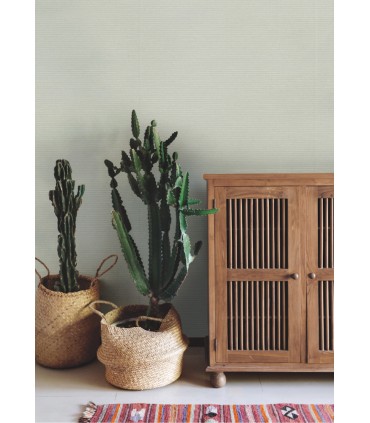 TC2661 -Boucle Wallpaper-Tropics Resource Library