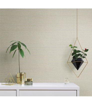 TC2662 -Boucle Wallpaper-Tropics Resource Library