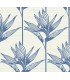 TC2671 - Bird Of Paradise Wallpaper-Tropics Resource Library