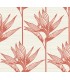 TC2676 - Bird Of Paradise Wallpaper-Tropics Resource Library