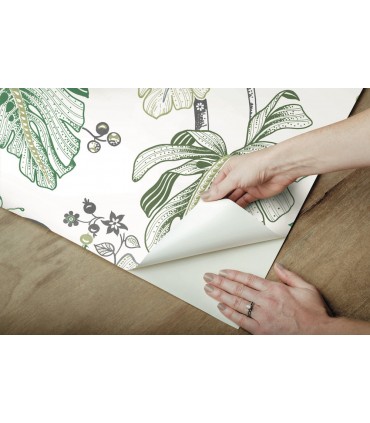 RMK11585RL - Boho Palm Peel and Stick Wallpaper