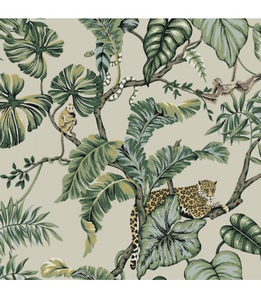 HO2144 - Jungle Cat Wallpaper by Ronald Redding