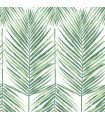 MB30034 - Palm Leaves Wallpaper by Seabrook