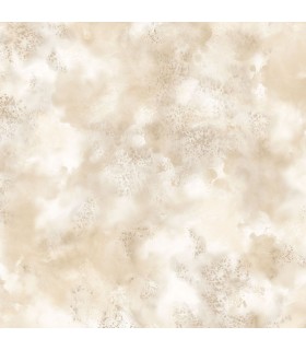 T34836 - Texture Style 2