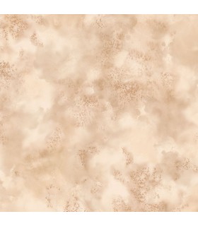 TX34838 - Texture Style 2