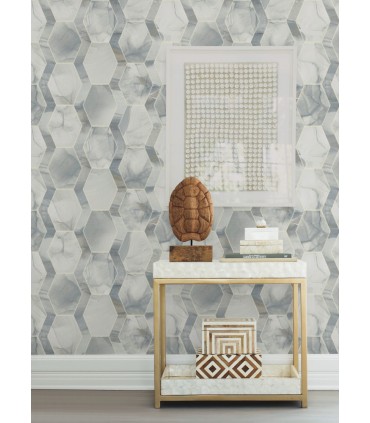 OS4281 - Earthbound Wallpaper by Candice Olson Modern Nature 2