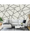 ASTM3914 - Modern Lines Black on Dove Grey Wall Mural