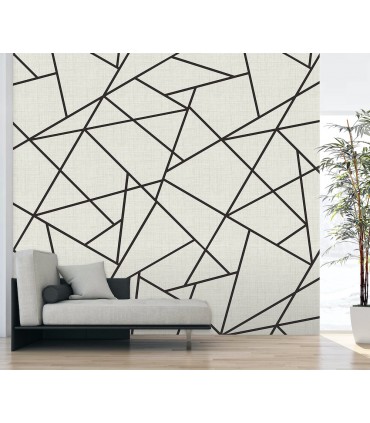 ASTM3914 - Modern Lines Black on Dove Grey Wall Mural