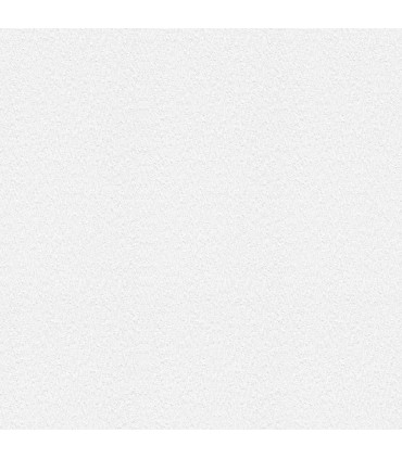 4000-1048-16 - Kiefer White Bark Paintable Wallpaper