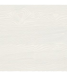 4000-93994 - Wade White Planks Paintable Wallpaper