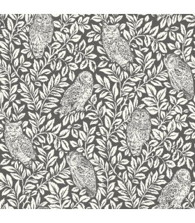 3123-12415 - Parliament Charcoal Owl Wallpaper by Chesapeake