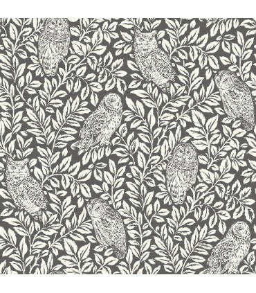3123-12415 - Parliament Charcoal Owl Wallpaper by Chesapeake
