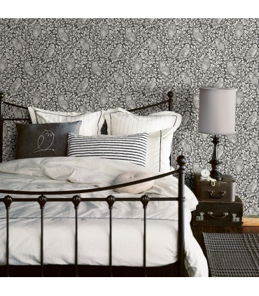 3123-12415 - Parliament Charcoal Owl Wallpaper by Chesapeake