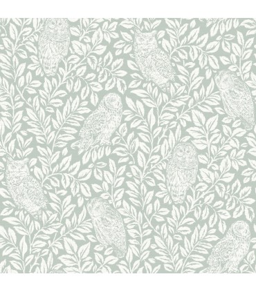 3123-12414 - Parliament Seafoam Owl Wallpaper by Chesapeake