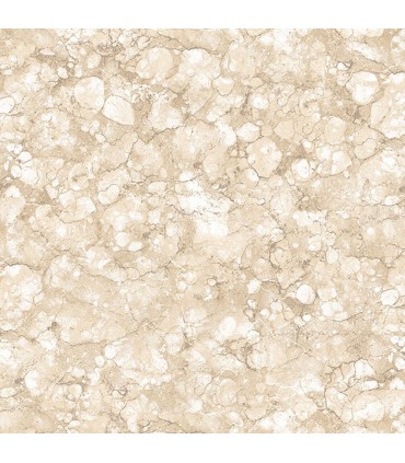 TX34815 - Texture Style 2