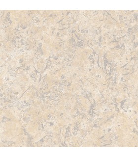 TX34829 - Texture Style 2