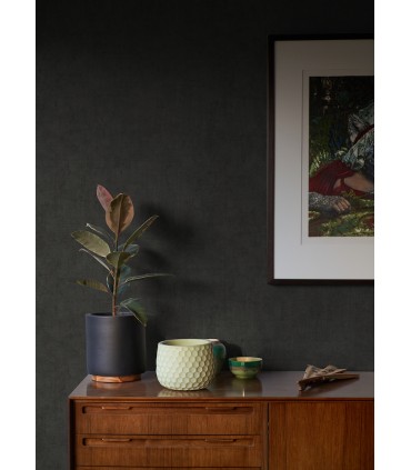 4044-38025-1 - Carrero Black Plaster Texture Wallpaper by Advantage