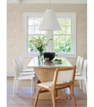 4035-37838-2 - Ichika Beige Plaster Wallpaper by Advantage